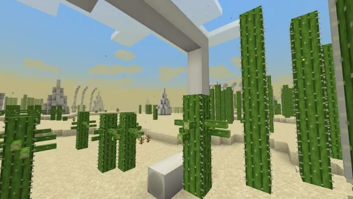 Биом мертвой пустыни