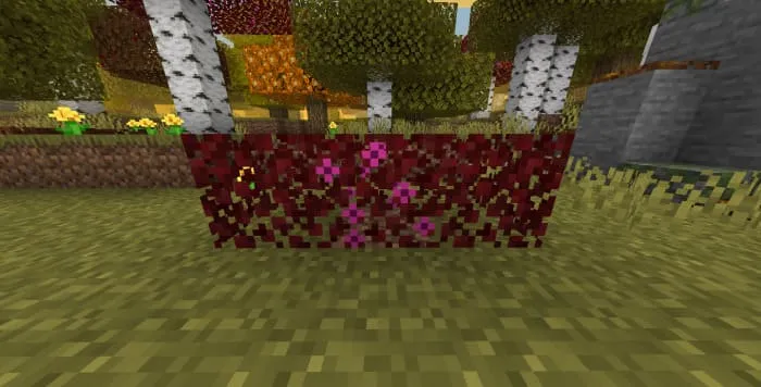 Красная осенняя листва