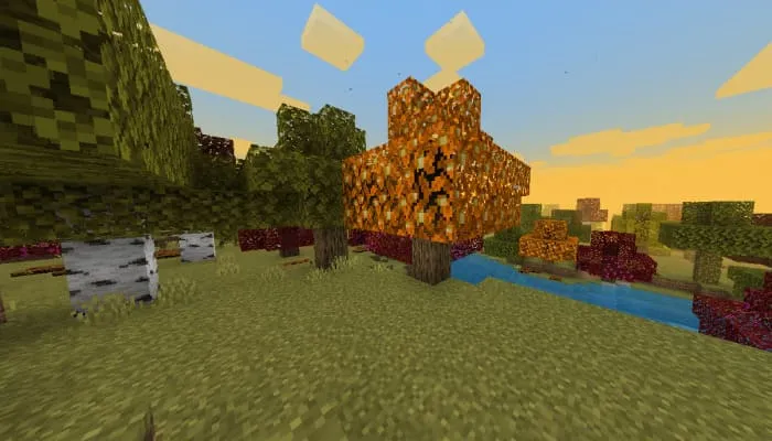 Осеннее дерево с оранжевой листвой