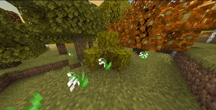 Структура листвы