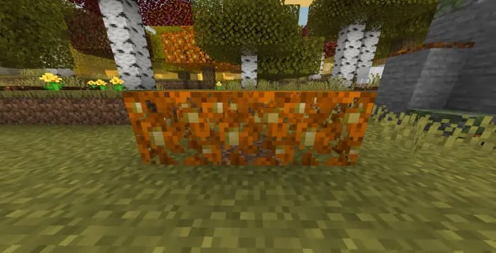 Оранжевая осенняя листва