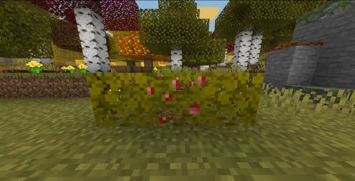 Выцветшая осенняя листва