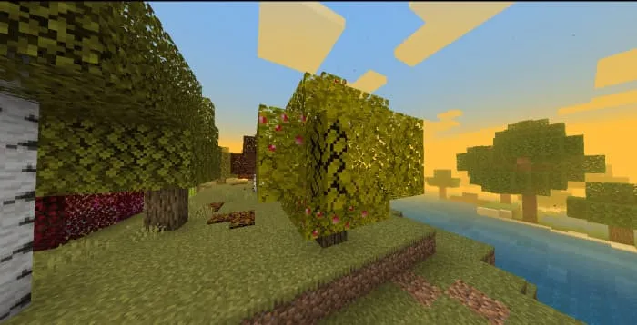 Осеннее дерево с выцветшей листвой