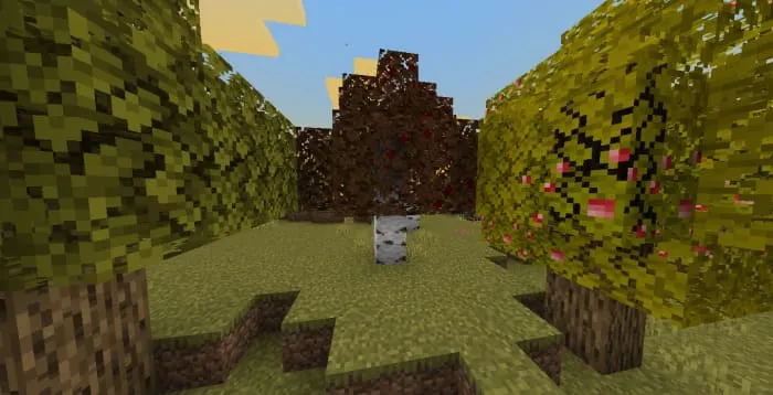 Осеннее дерево с коричневой листвой