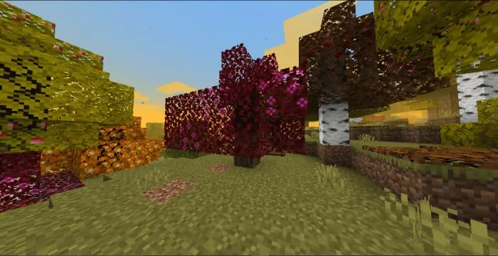 Осеннее дерево с красной листвой