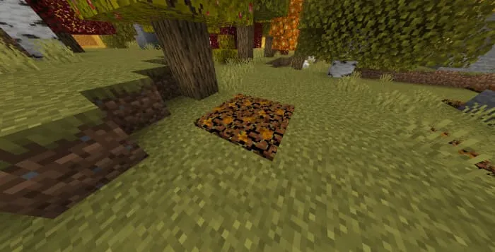 Упавшая листва