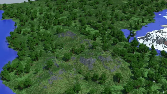 Вид на леса сверху