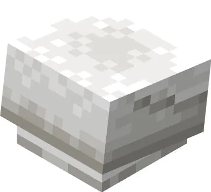 Шапка шефа поборника