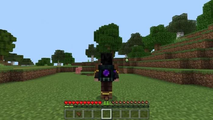 Вид рюкзака Края на спине игрока