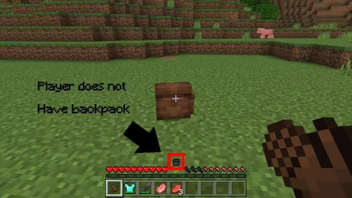 Иконка отсутствия рюкзака на игроке