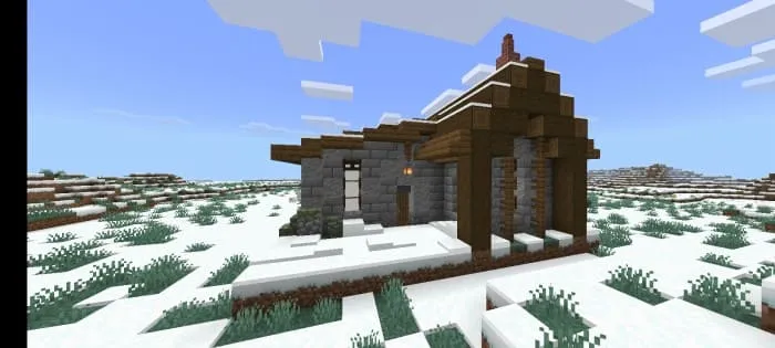 Дом посреди мира в снежном биоме