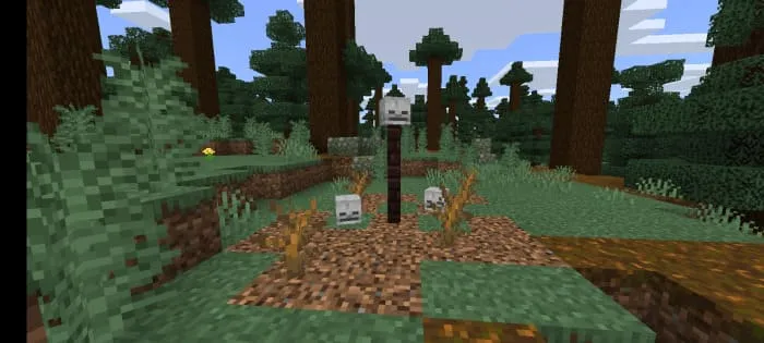 Страшные черепа в лесу Minecraft