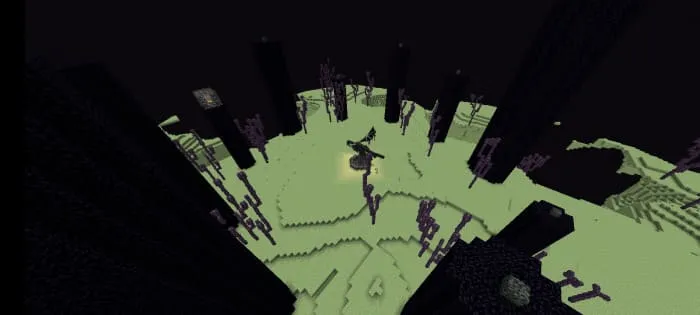 Плод хоруса в Minecraft