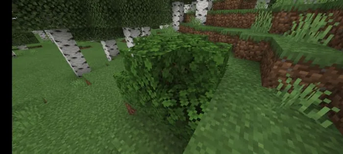 Небольшой куст