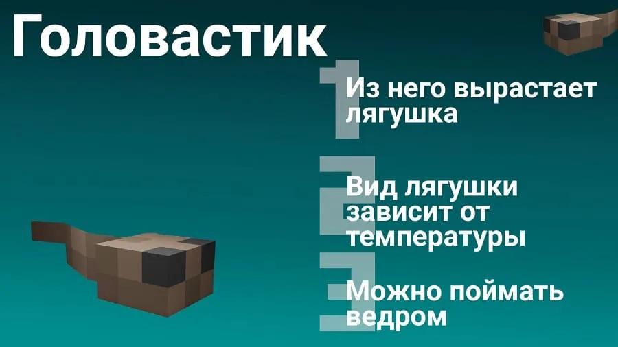 Description of a tadpole in Minecraft