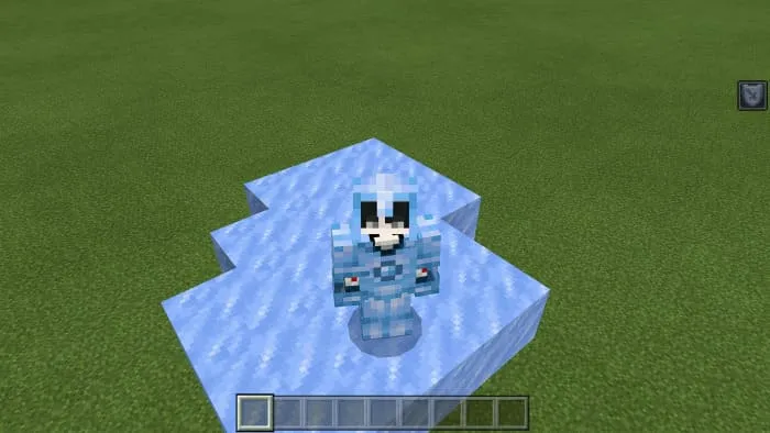 Вид ледяной брони