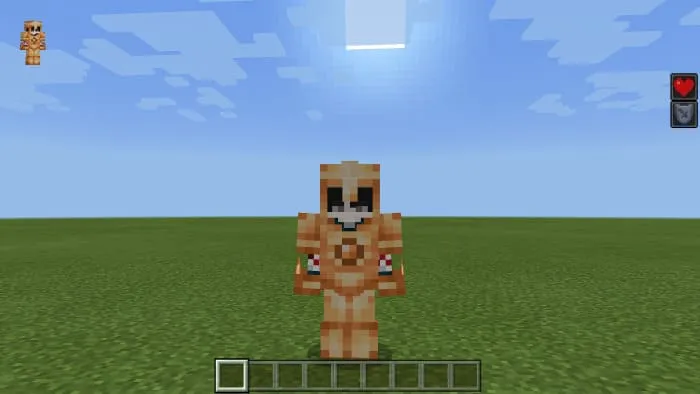 Вид амбарской брони