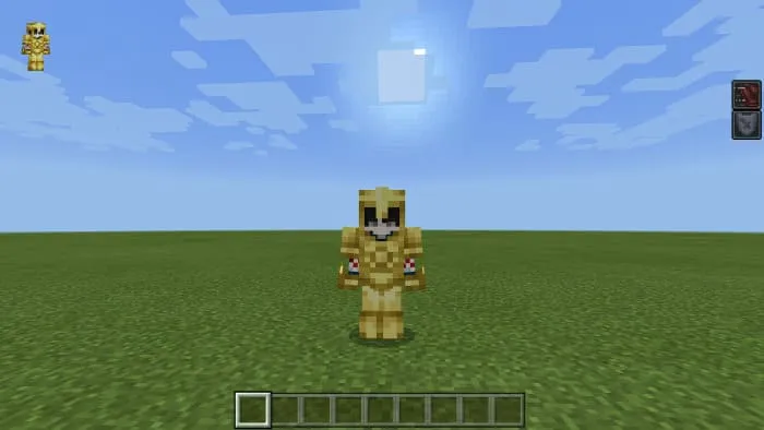 Вид пустынной брони