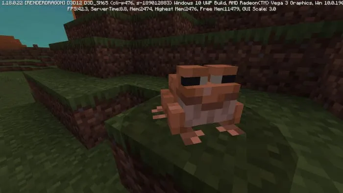 Вид болотной лягушки