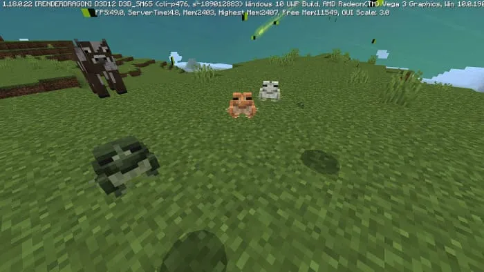 Виды лягушек