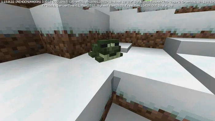 Вид снежной лягушки