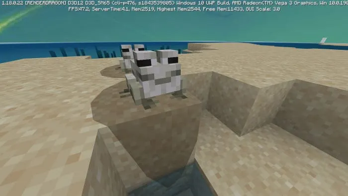 Вид тропической лягушки