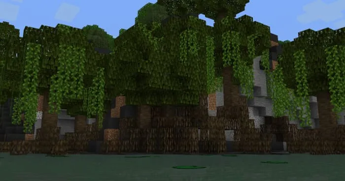 Вид на новое болото