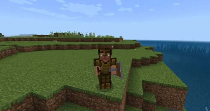 Вид деревянной брони спереди