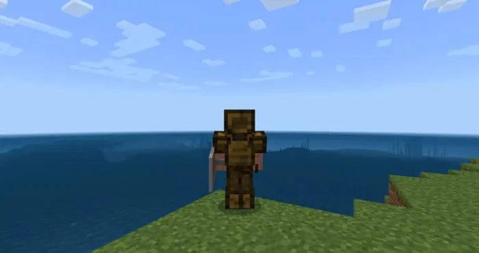 Вид деревянной брони сзади