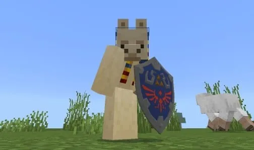 Вид щита из зельды спереди