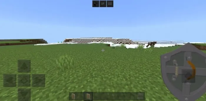 Вид щита из зельды от первого лица