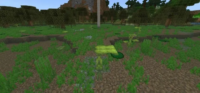 Твердолист в болоте