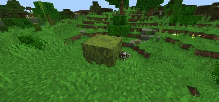 Цветок из азалии