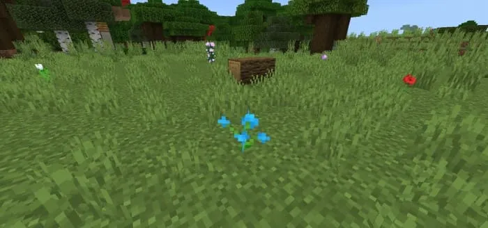 Больше цветов в мире