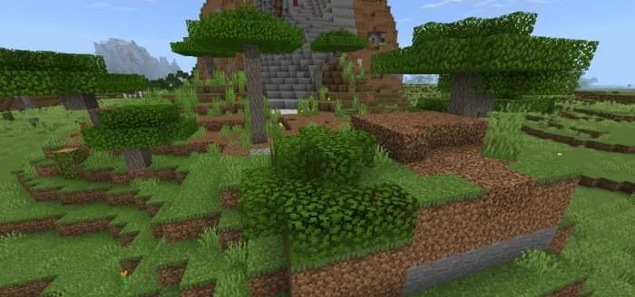 Куст из акациевой листвы