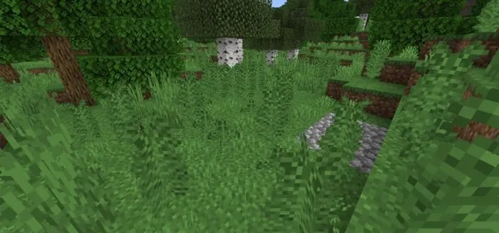 Больше папоротника в мире