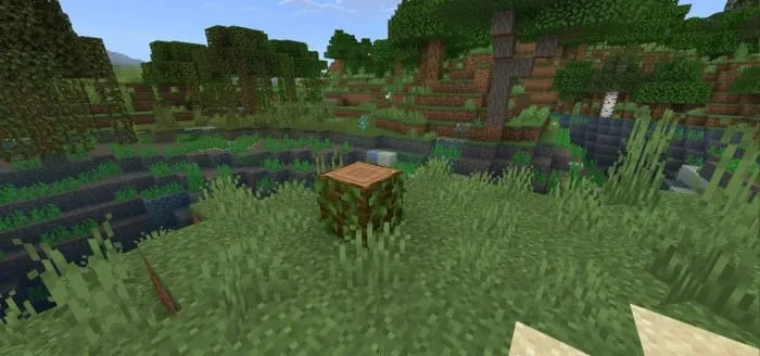 Болотный пень возле реки