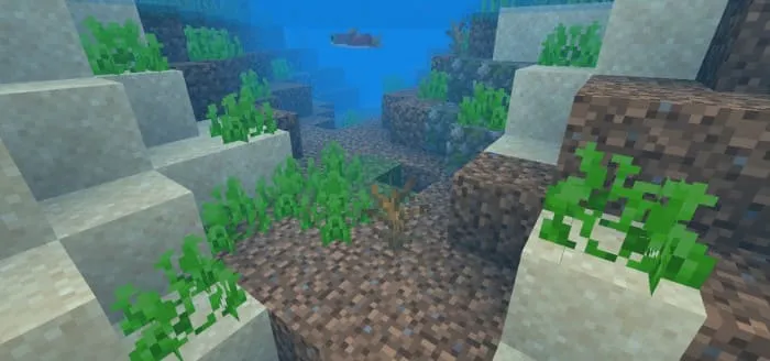 Мертвый куст под водой