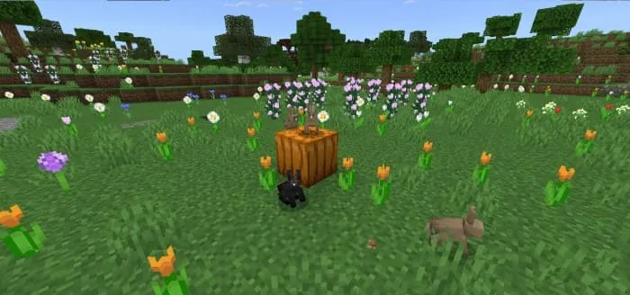 Тыква и цветы