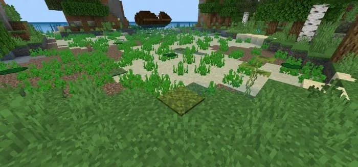 Мшистый ковер