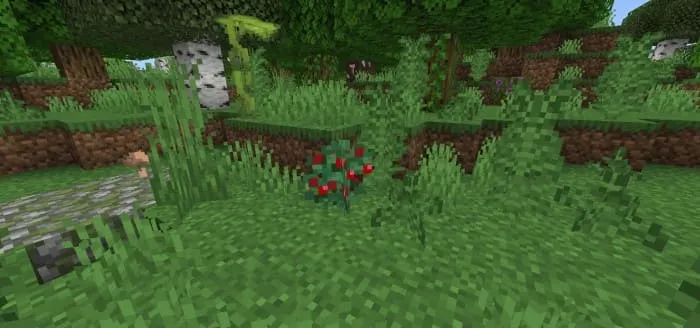 Куст сладких ягод