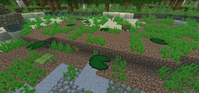 Больше растительности на воде