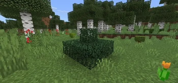 Куст из еловой листвы