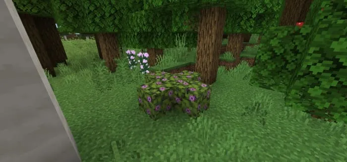 Куст из азалиевой листвы