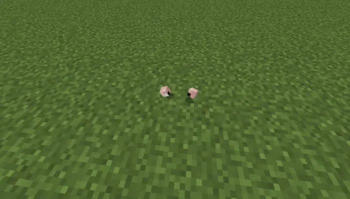 Глаза в Minecraft