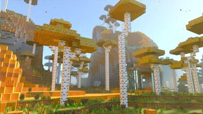 Биом Эвкалиптовый лес