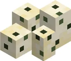 Блок яиц крокодила