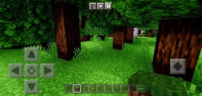 Тени от деревьев в Майнкрафт