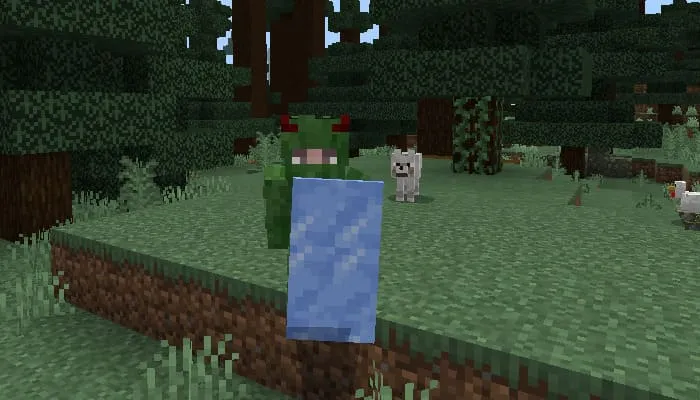 View of the ice shield in Minecraft