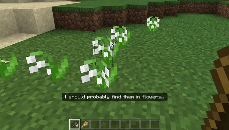 Игрок смотрит на цветок